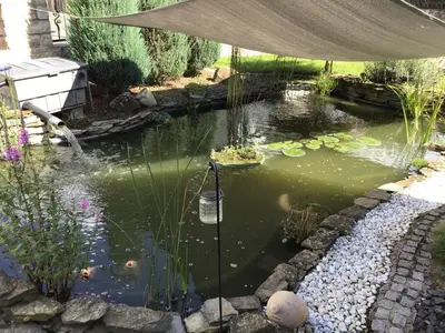Ein Garten an der Unterkunft Ferienwohnung Entenquack