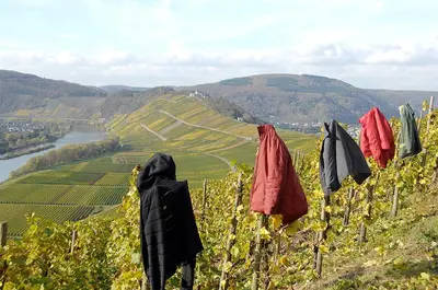 Naturlandschaft in der Nähe des Privatzimmers