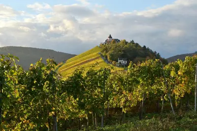 Naturlandschaft in der Nähe des Privatzimmers