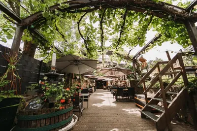 Ein Garten an der Unterkunft Wein- und Gästehaus Schwaab&Sohn