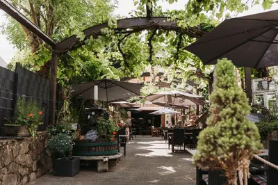 Ein Garten an der Unterkunft Wein- und Gästehaus Schwaab&Sohn