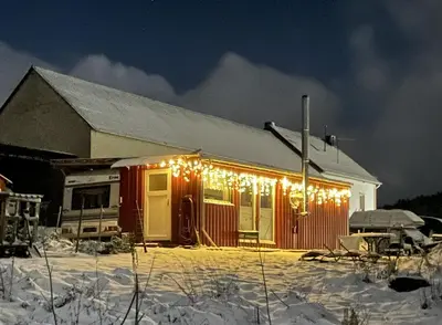 Tiny House Anneliese Hunde okay im Winter