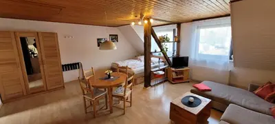 TV/Unterhaltungsangebot in der Unterkunft Haus Zehnthof