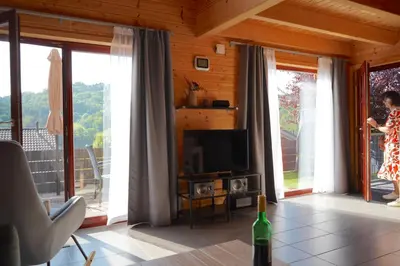 TV/Unterhaltungsangebot in der Unterkunft 5 Sterne Ferienhaus Annika mit Kamin, Seeblick und großer Terrasse