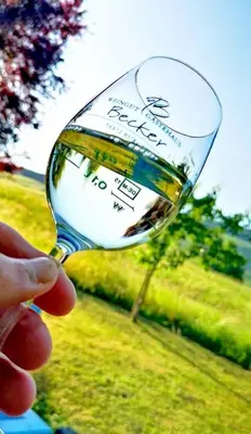 Getränke in der Unterkunft Ferienweingut & Gutsrestaurant Becker