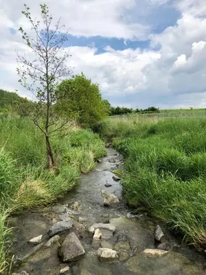 Naturlandschaft in der Nähe der Ferienwohnung