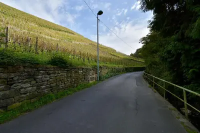 Naturlandschaft in der Nähe des Ferienhauses