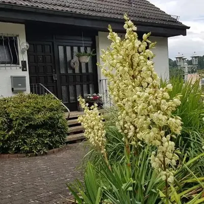 Ferienwohnung Wahlich