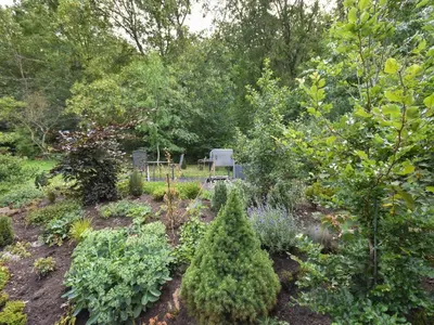 Ein Garten an der Unterkunft Cottage in Germany with Sun Terrace & BBQ