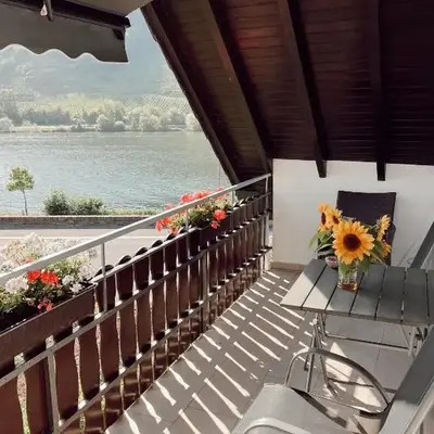 Ferienwohnung Moselflair mit direktem Blick auf die Mosel und Weinberge