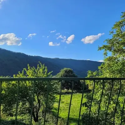 Willi's Moselschlösschen