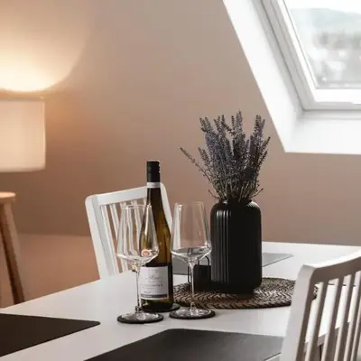 ZoHe Alpha Apartment mit Moselblick