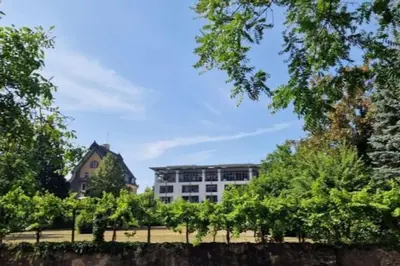 Ein Garten an der Unterkunft Penthouse mit Moselblick