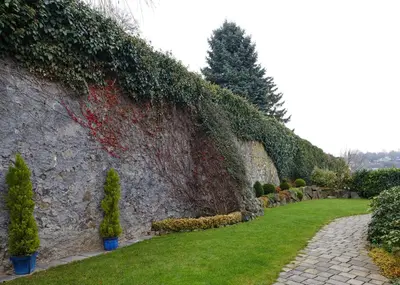 Ein Garten an der Unterkunft Ferienwohnung Stölben