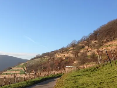 Naturlandschaft in der Nähe des Hotels
