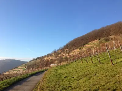 Naturlandschaft in der Nähe des Hotels