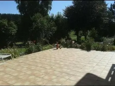 Ein Garten an der Unterkunft Am Mühlenberg