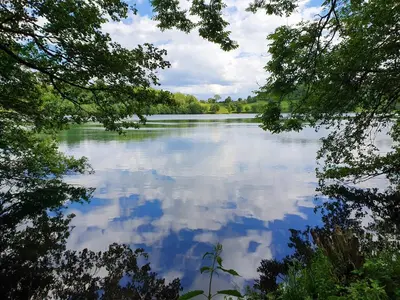 Naturlandschaft in der Nähe des Ferienhauses