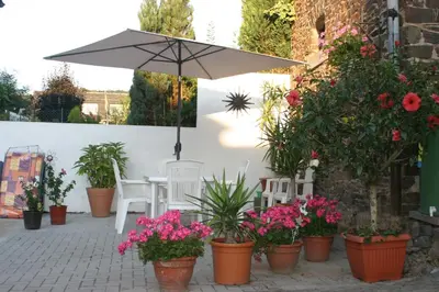 Ein Garten an der Unterkunft Apartment Sonnenschein
