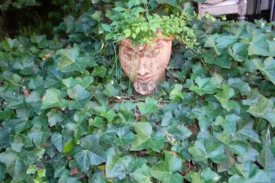 Ein Garten an der Unterkunft Ferienhaus-Barz
