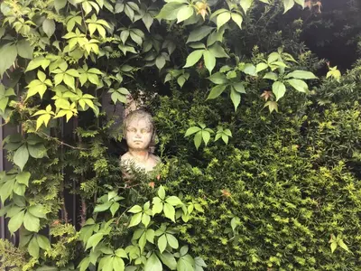 Ein Garten an der Unterkunft Ferienhaus-Barz