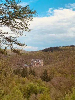 Naturlandschaft in der Nähe der Ferienwohnung