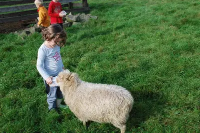Tiere in der Ferienwohnung oder in der Nähe