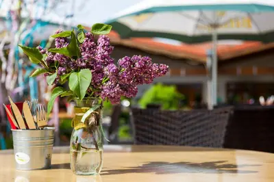 Grundriss der Unterkunft Ferienwohnungen Landgasthaus Janshen