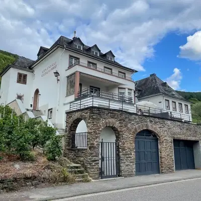 The Vineyard View