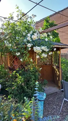 Ein Garten an der Unterkunft Landhauskiebel