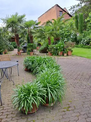 Ein Garten an der Unterkunft Landhauskiebel