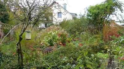 Ein Garten an der Unterkunft Eifelidylle am MoselMaareRadweg