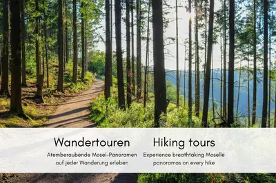 Naturlandschaft in der Nähe der Ferienwohnung