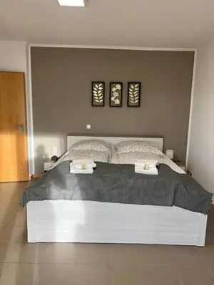 Ein Bett oder Betten in einem Zimmer der Unterkunft Sunset Apartment mit Rheinblick in Urbar