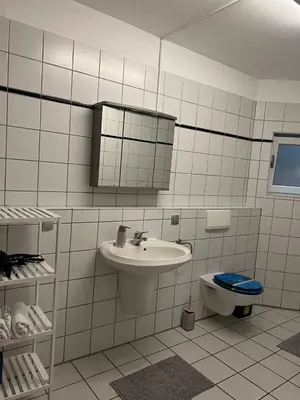 Ein Badezimmer in der Unterkunft Sunset Apartment mit Rheinblick in Urbar