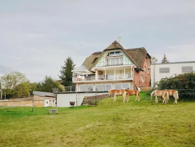 Tiere in der Ferienwohnung oder in der Nähe