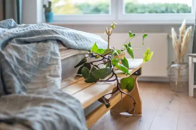 Ein Sitzbereich in der Unterkunft 120qm, cozy Apartment, sehr zentral am HBF, 3SZ