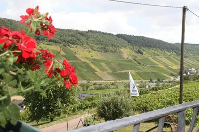 Naturlandschaft in der Nähe der Pension
