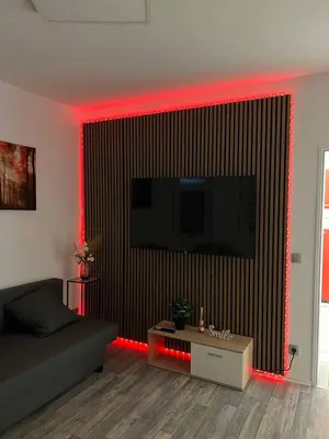 TV/Unterhaltungsangebot in der Unterkunft Gartenparadies Apartment in Urbar