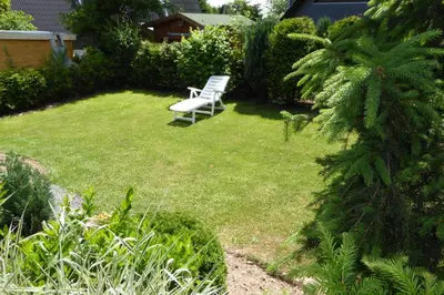 Ein Garten an der Unterkunft Eifelwaldhäuschen