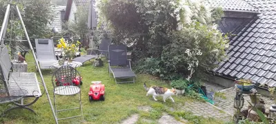 Ein Garten an der Unterkunft Ferienwohnungen Willrich