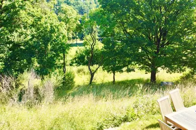 Ein Garten an der Unterkunft Tinyhouse Minimalus Panorama Schlafloft im Grünen