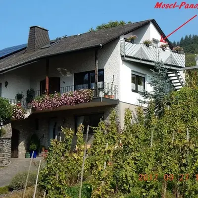 Mosel-Panorama