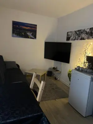 TV/Unterhaltungsangebot in der Unterkunft Lovely 1-Bed Apartment in Koblenz