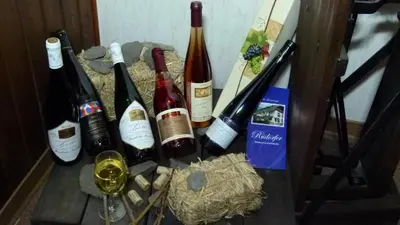 Grundriss der Unterkunft Ferienweingut Rudorfer