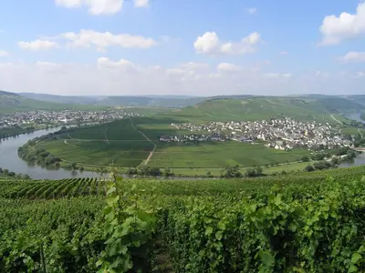 Naturlandschaft in der Nähe der Pension