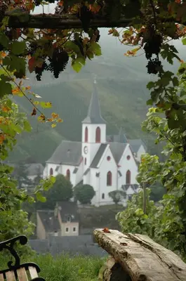 Naturlandschaft in der Nähe der Ferienwohnung