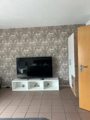 TV/Unterhaltungsangebot in der Unterkunft Rheinview Sunset Apartment Urbar