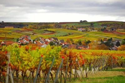 Naturlandschaft in der Nähe der Ferienwohnung