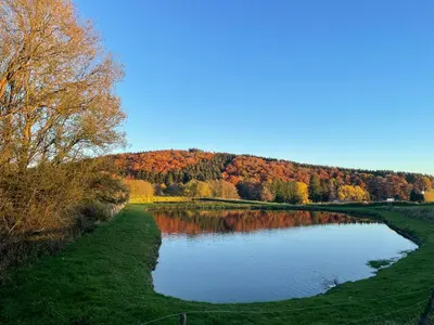 Naturlandschaft in der Nähe der Ferienwohnung